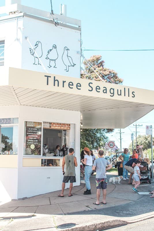 Three Seagulls